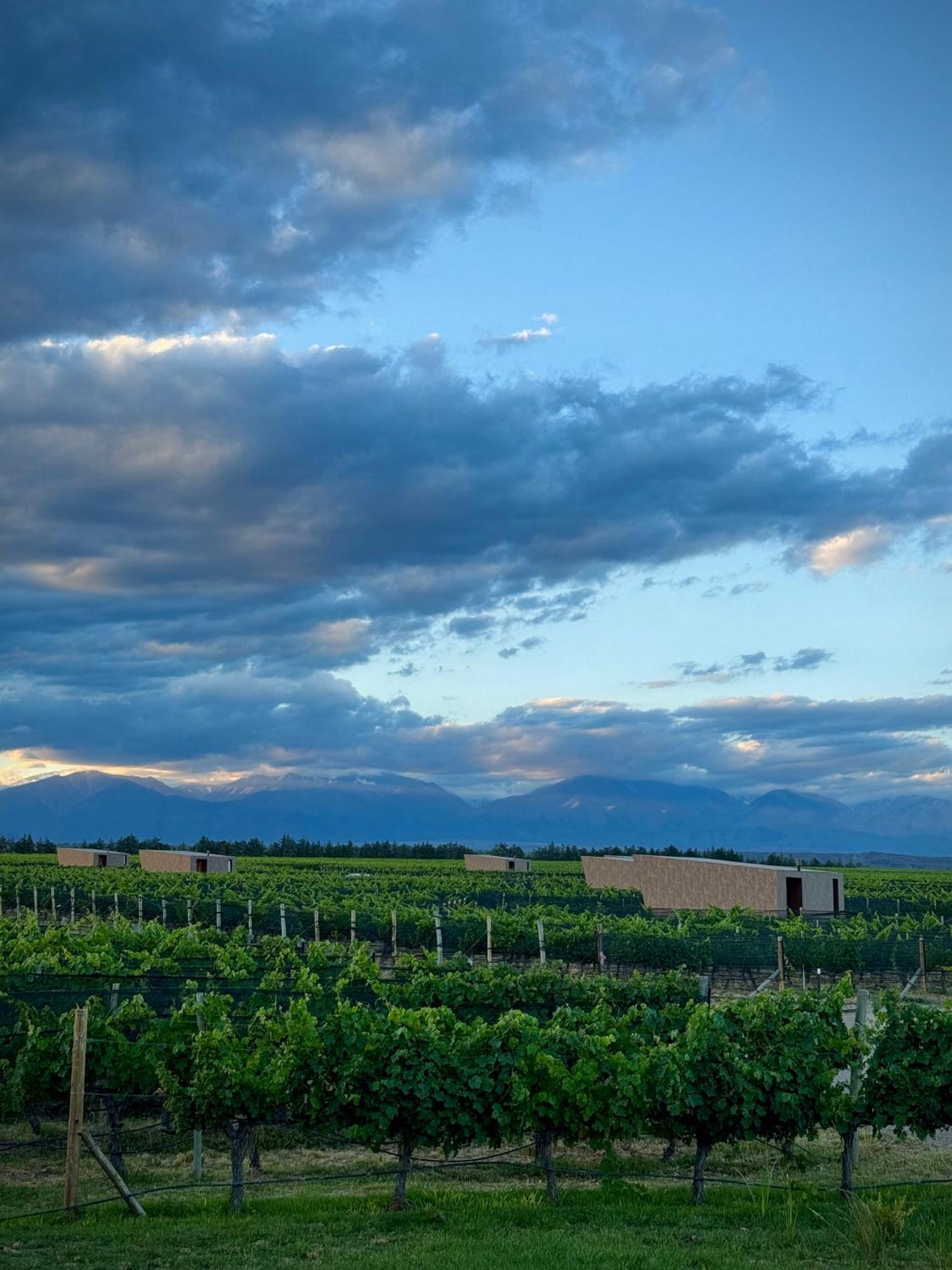 Andeluna Winery Lodge Tupungato Luaran gambar