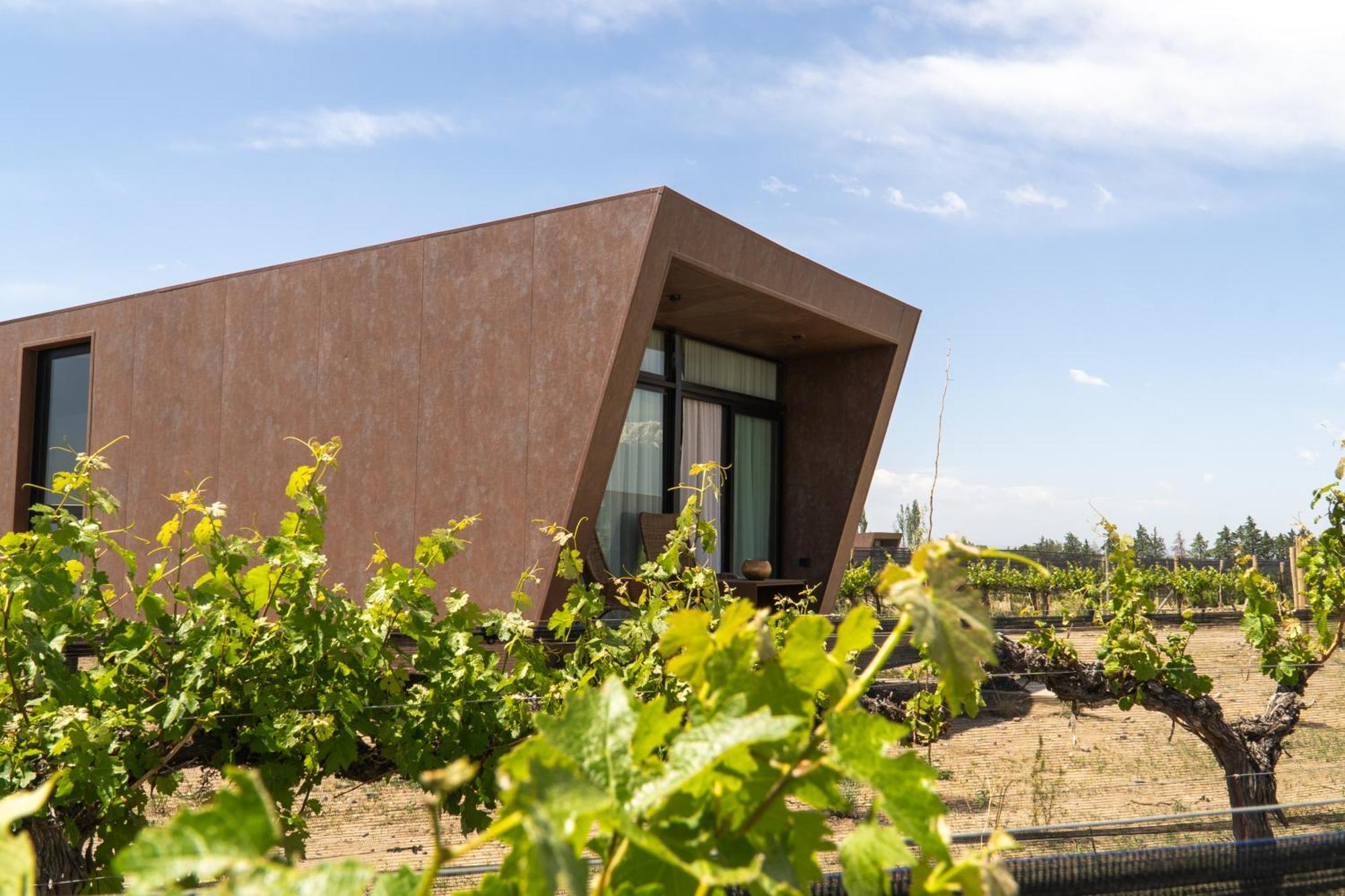 Andeluna Winery Lodge Tupungato Luaran gambar